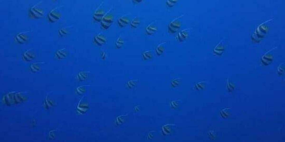 NHS: A Universal Embrace